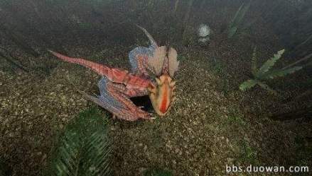 大怪鸟（游戏《怪物猎人》系列中角色）_百度百科
