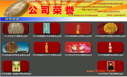 奖项