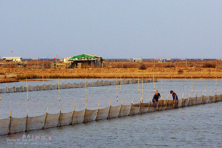 目 前,我国的沿海地带海滩养殖已逐步走向成熟,在 a target="_blank"