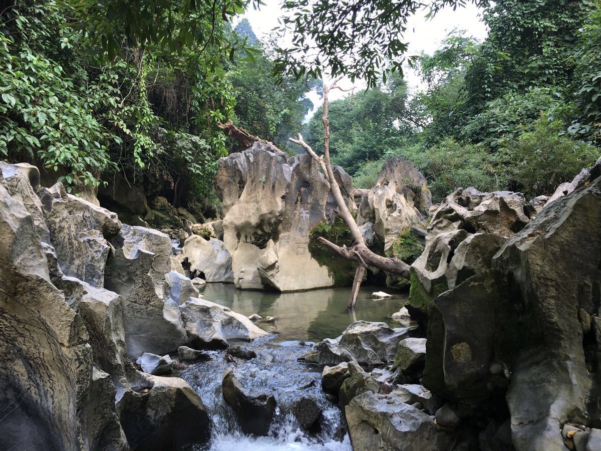 花鱼洞国家森林公园