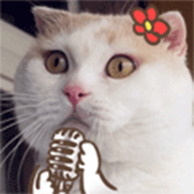 郑插插