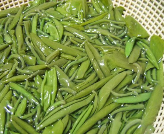  p>莼菜(学名: i>brasenia /i>  i>schreberi /i> j.f.gmel.