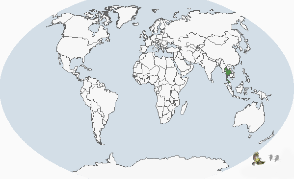 pseudochelidon sirintarae