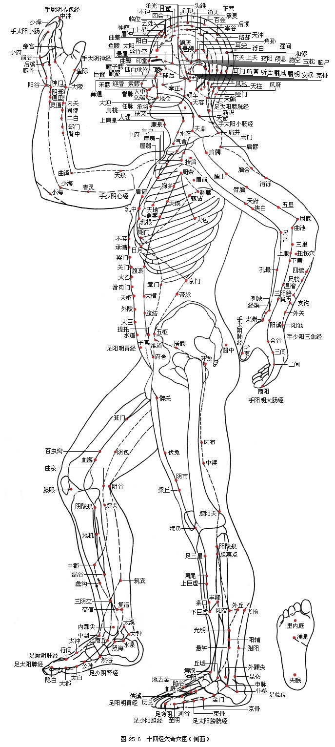 主要指 a target="_blank" href="/item/人体">人体 /a>经络线上特殊