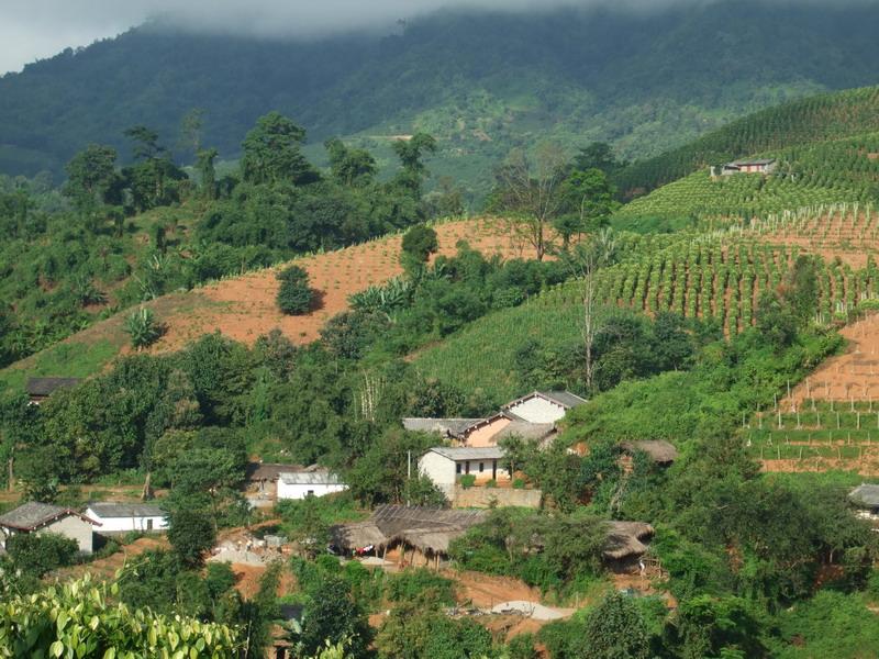 vx5gv0g">刀弄自然村,隶属于云南省德宏傣族景颇族自治州盈江县那邦镇