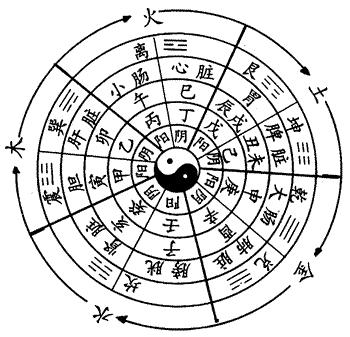 阴阳五行
