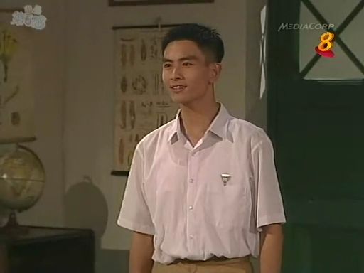 《潮州家族》(t,he teochew family)是新加坡电视机构(今新传媒私人