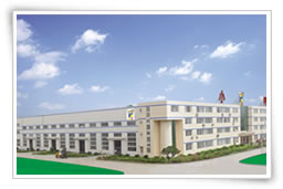 山东小鸭集团有限责任公司