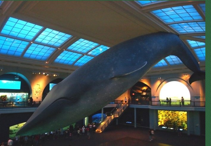  p>自然博物馆(natural history museum),是收藏,制作和陈列天文,地质