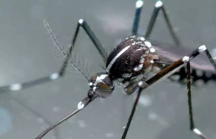 ok"><span class="ref" data