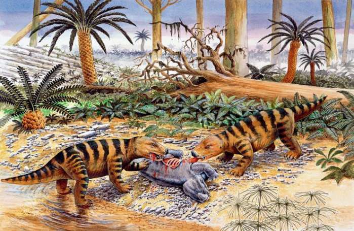  p>犬颌兽(拉丁文cynognathus)身长1米,重约40千克,生活在二亿二千万