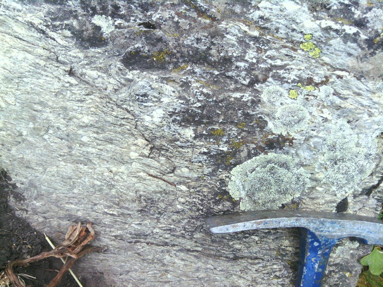  p data-id="gnbs2wif54">岩石学花岗片麻岩指矿物成分与花岗岩相似