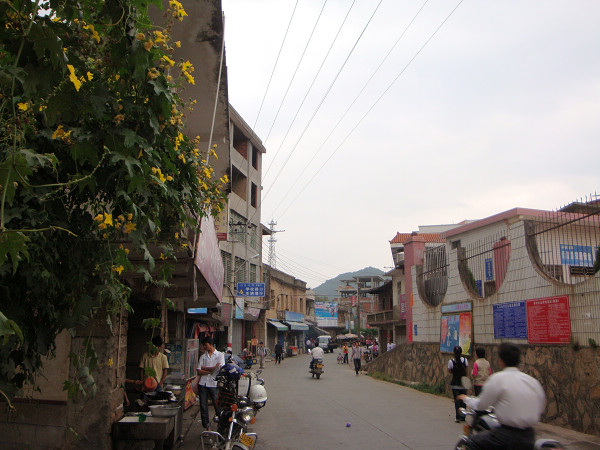 blank" href="/item/金谷镇">金谷镇政府驻地