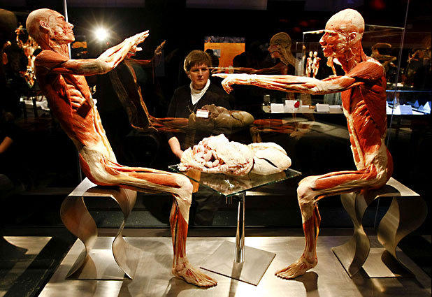  p>法医学(forensic medicine):是应用 a target="_blank" href="