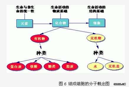 细胞的分子组成