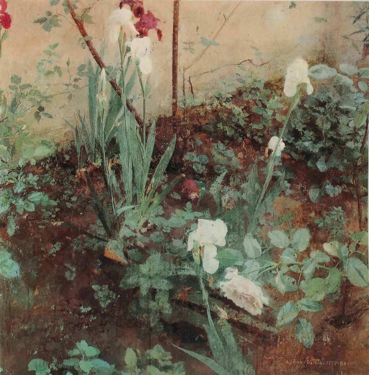 安东尼奥洛佩兹加西亚