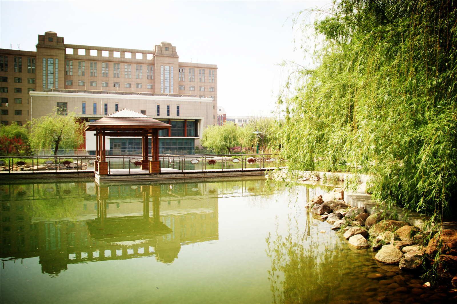 县立中学,胶东公学,北海中学,黄县一中,黄县五·七红校,黄县中学,龙口