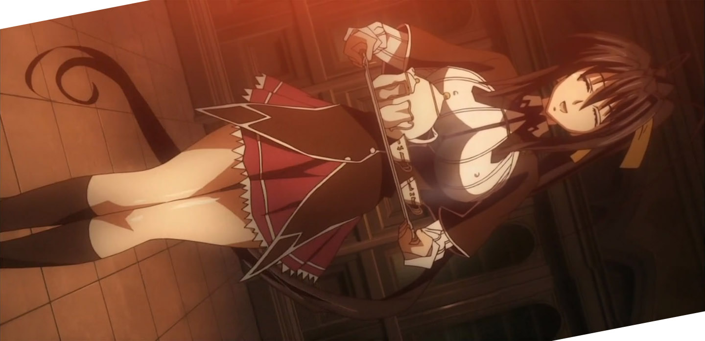  p>姬岛朱乃,轻小说《 a target="_blank" href="/item/恶魔高校d×d