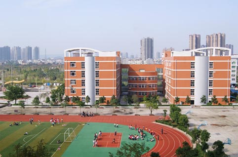 建校三年多以来,由于南沙区教育局对金隆小学始终坚持财政投入优先