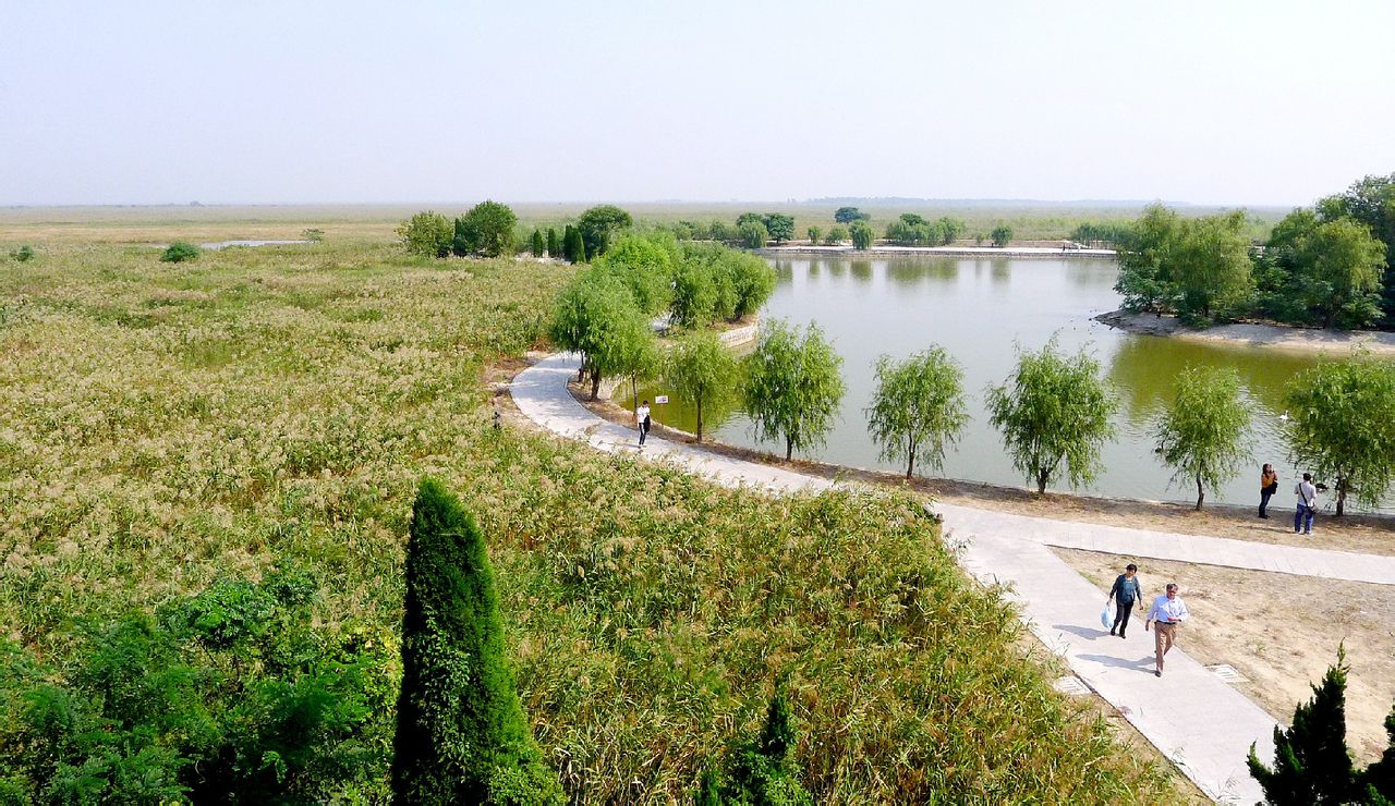 江苏盐城沿海滩涂湿地