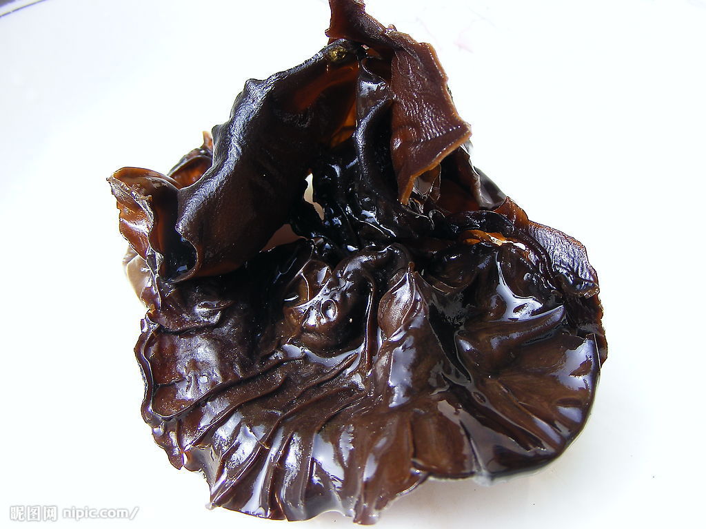  p>木耳,又叫云耳,桑耳,是我国重要的食用菌,有广泛的自然分布和人工