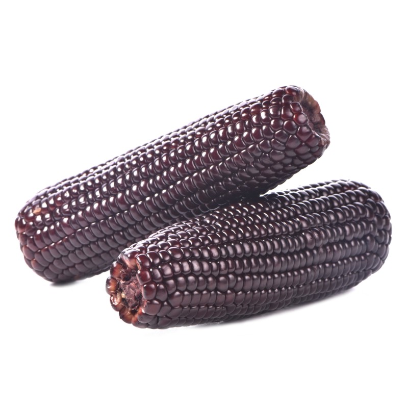 龙江省农业科学院 /a>玉米中心,1994年由农作物品种审定委员会审定