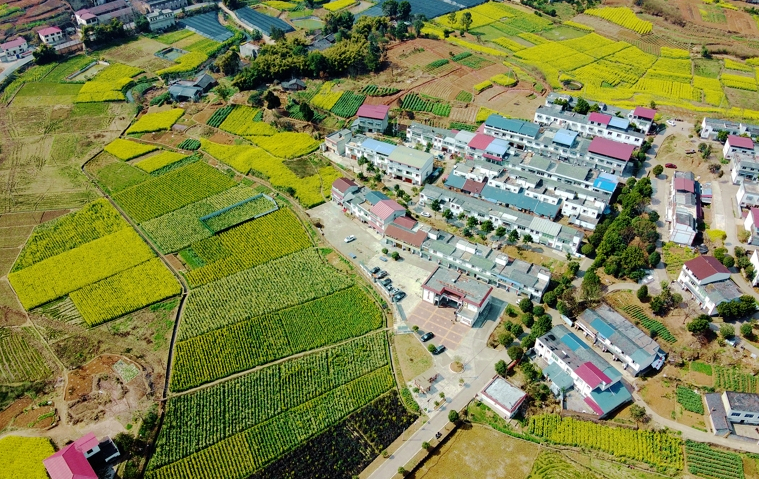 金龙镇