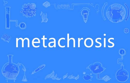 metachrosis_百度百科