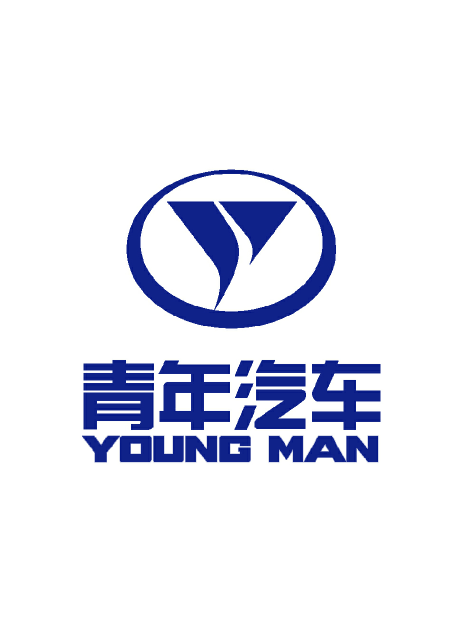 青年汽车集团有限公司