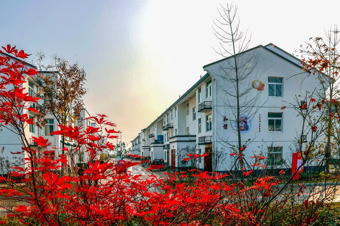 师寨镇