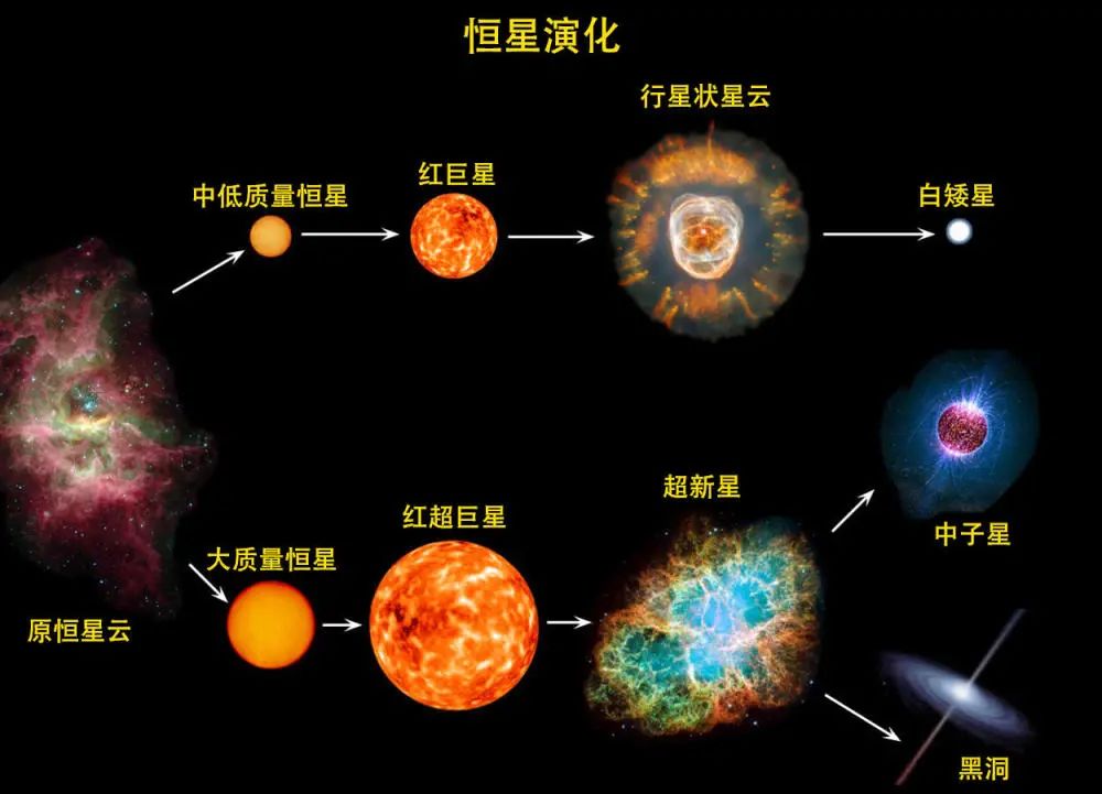 计算一颗恒星演化就要几个小时？现在实现3分钟就能模拟出1万颗！_百科TA说