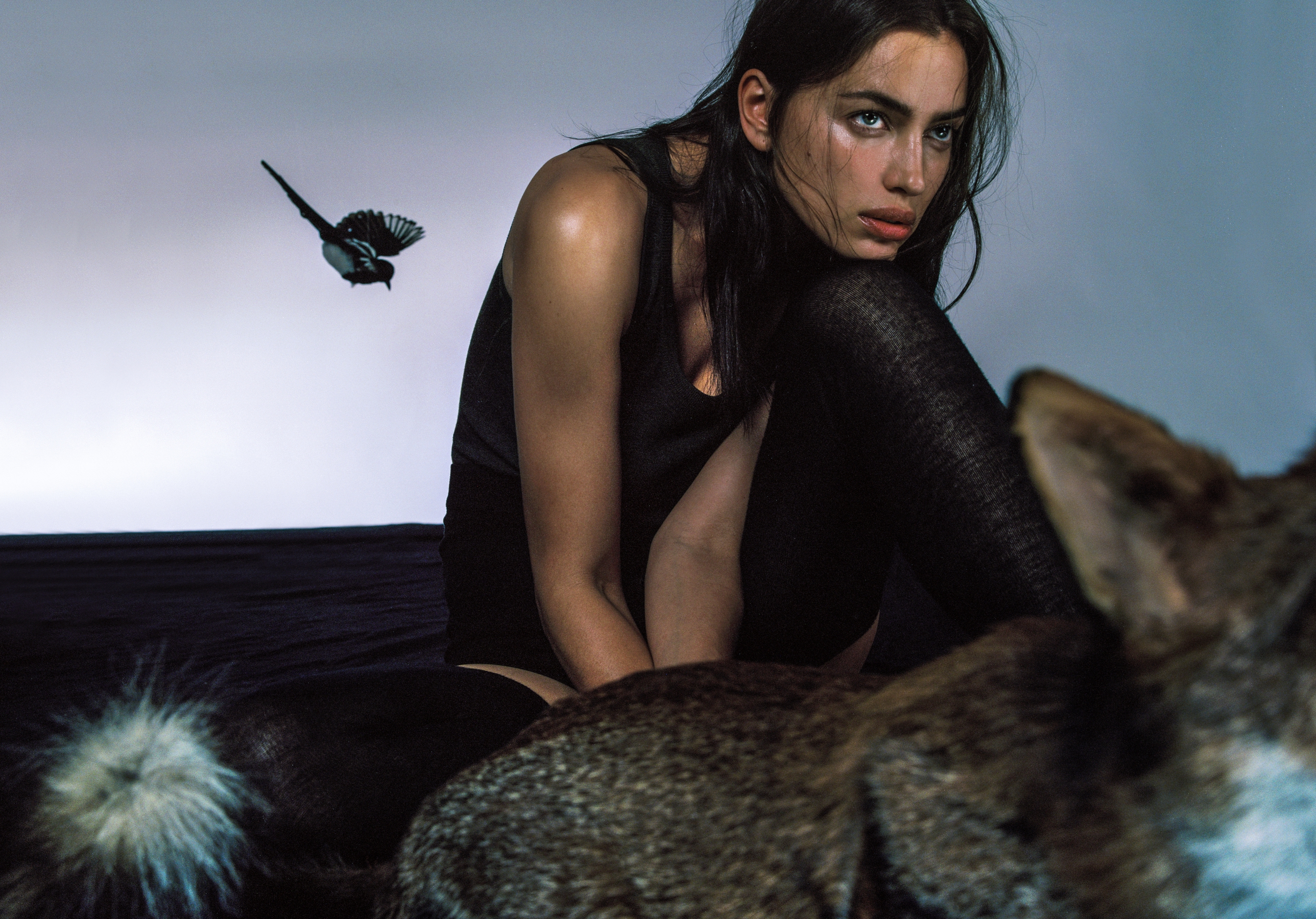 伊莉娜·莎伊克