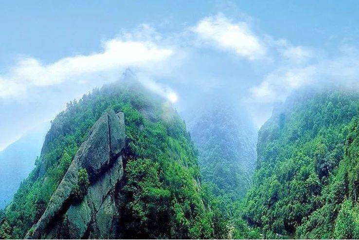 江西省九峰森林公园