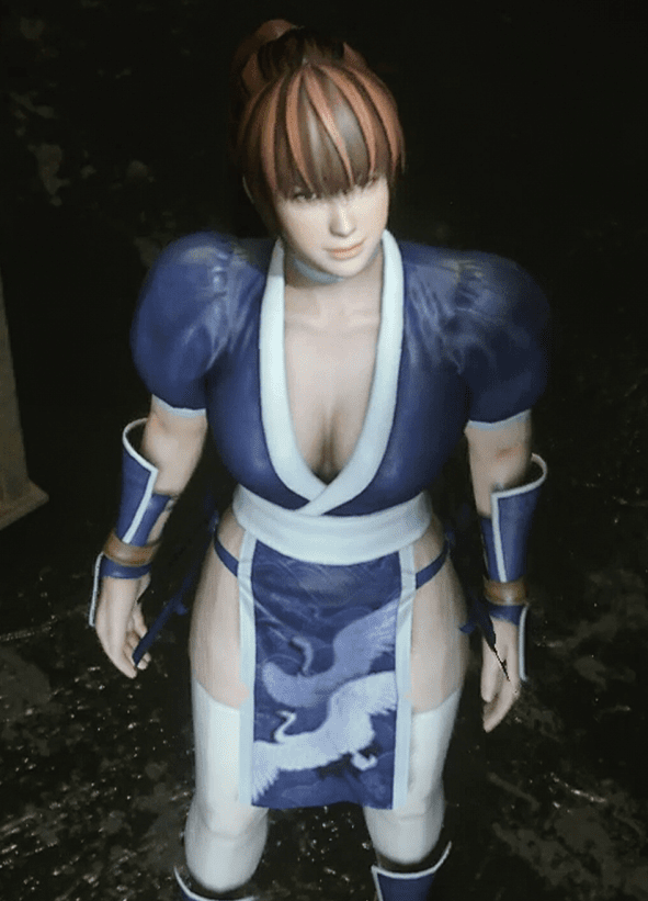 是日本格斗游戏《 a target="_blank" href="/item/死或生/5076"