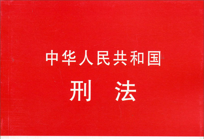 中华人民共和国刑法:案例注释版(第2版)