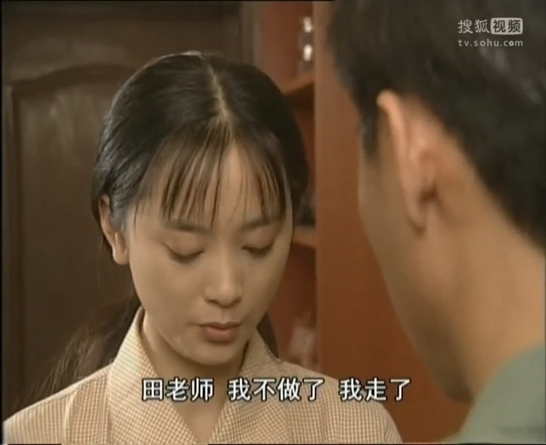 田教授家的二十个保姆