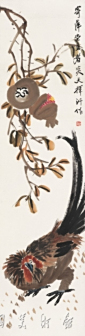 石榴公鸡