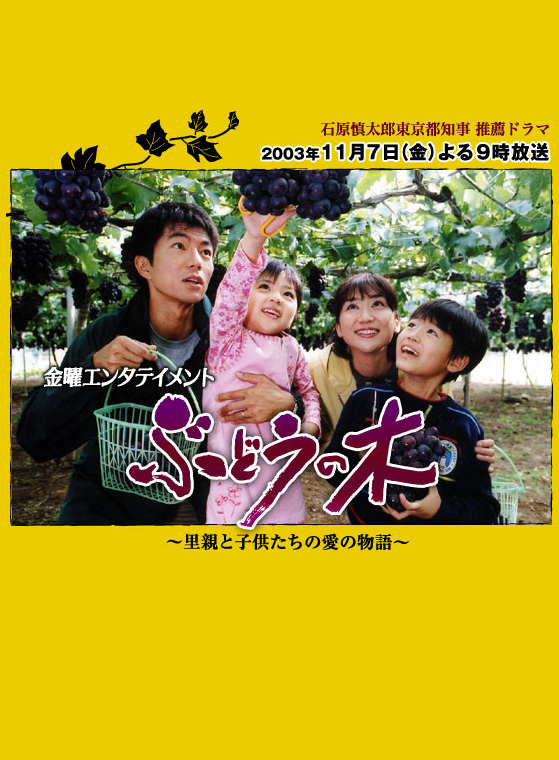  p>《葡萄树~养父养母与孩子们爱的故事~》是日本2003-11-07首播的
