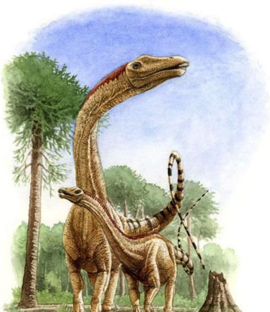 劳尔哈龙(lourinhasaurus)