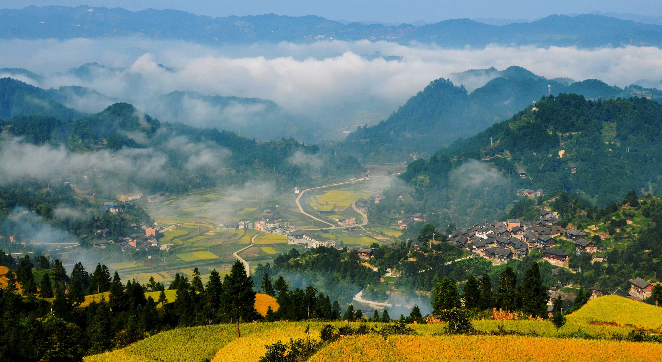 雷公山自然保护区