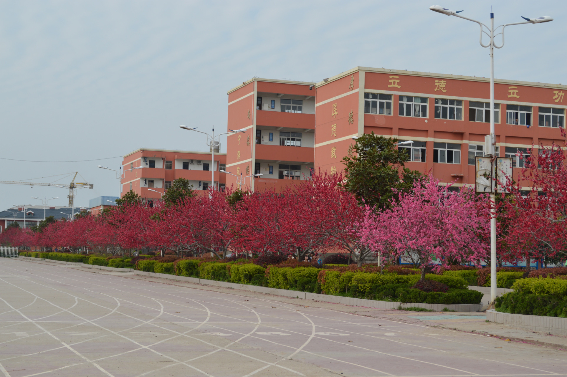 泗县双语中学
