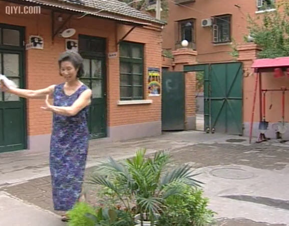 党员马大姐