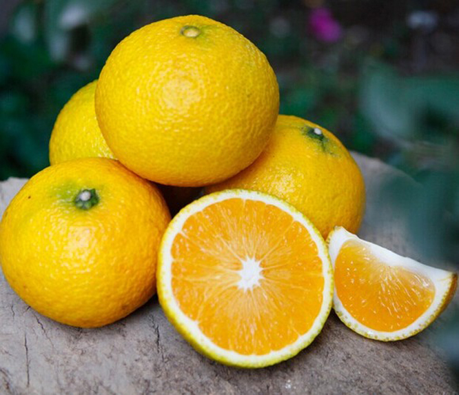 果顶部平坦,果皮橙黄色,果面不太光滑,剥皮略难,同胡柚相近,带有橙