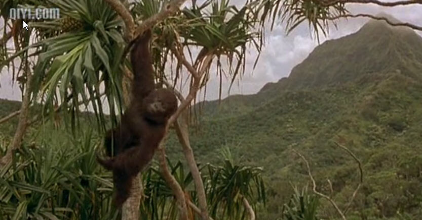 巨猩乔扬mightyjoeyoung(1998)