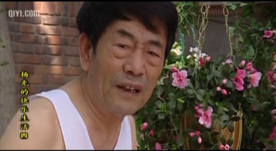 杨光的快乐生活4