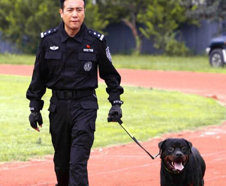 up">杜飞是《 a target="_blank" href="/item/警花与警犬/16897622"