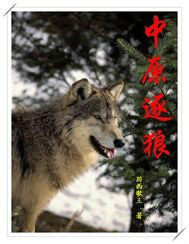 中原逐狼