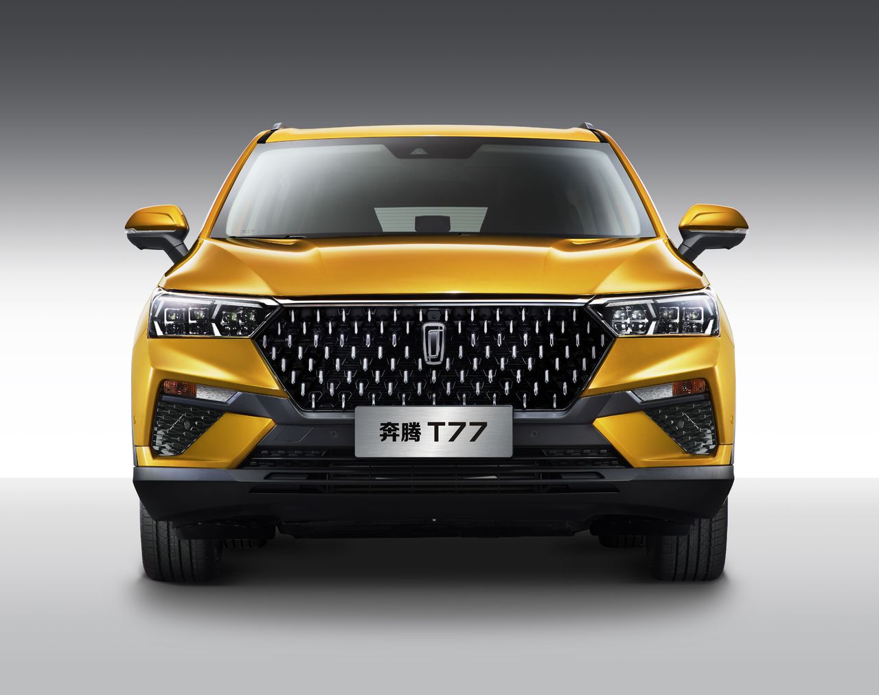  p data-id="sxq4jnykdmjl">奔腾品牌创立于2006年5月18日.