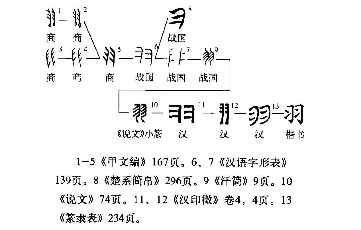 此字始见于商代甲骨文,其古字形像鸟类的羽毛,引申指代鸟类.