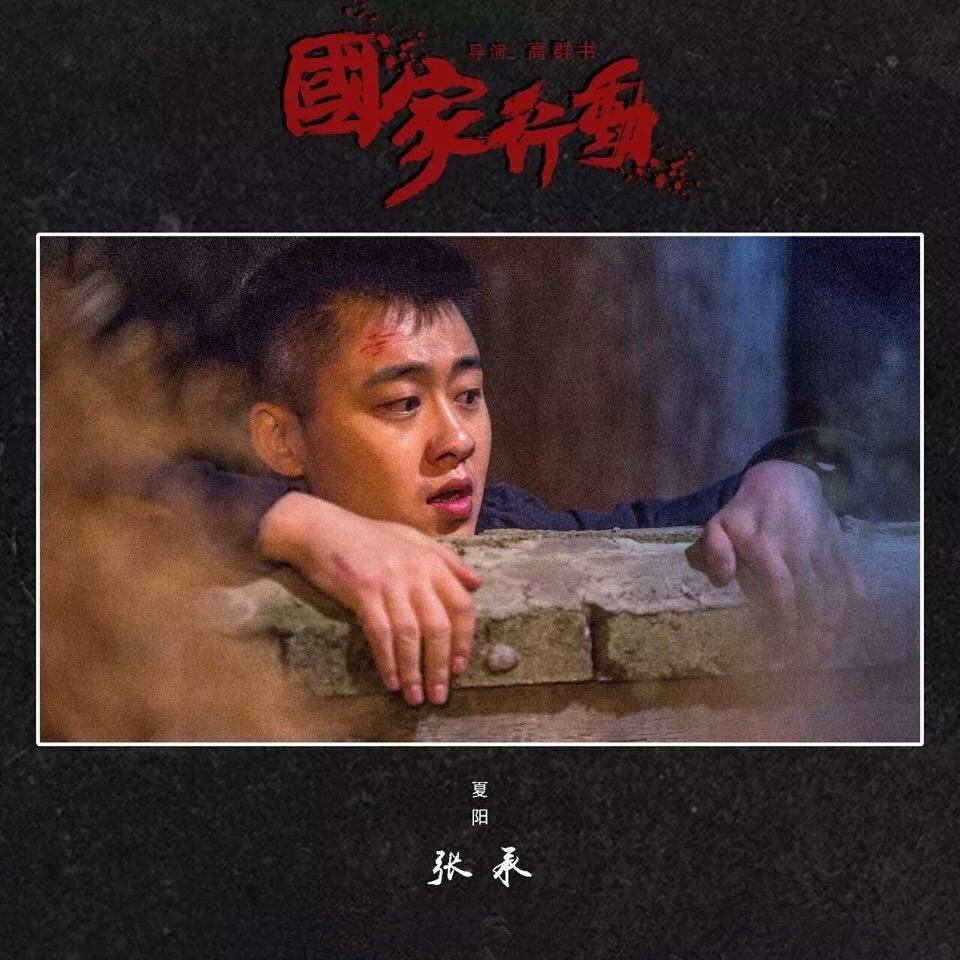  p data-id="go08zm1jhn">《国家行动》是由中国中央电视台,中国国际